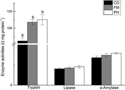 Growth Performance, Digestive Enzymes, and TOR Signaling Pathway of Litopenaeus vannamei Are Not Significantly Affected by Dietary Protein Hydrolysates in Practical Conditions